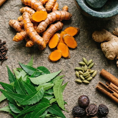 Fresh natural ingredients used for authentic Ayurvedic treatments.